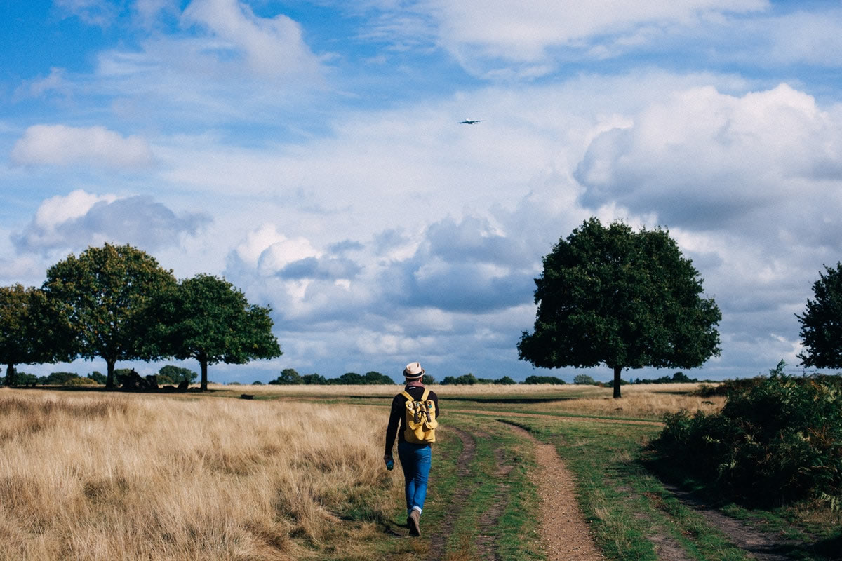 Nature Therapy for Depression