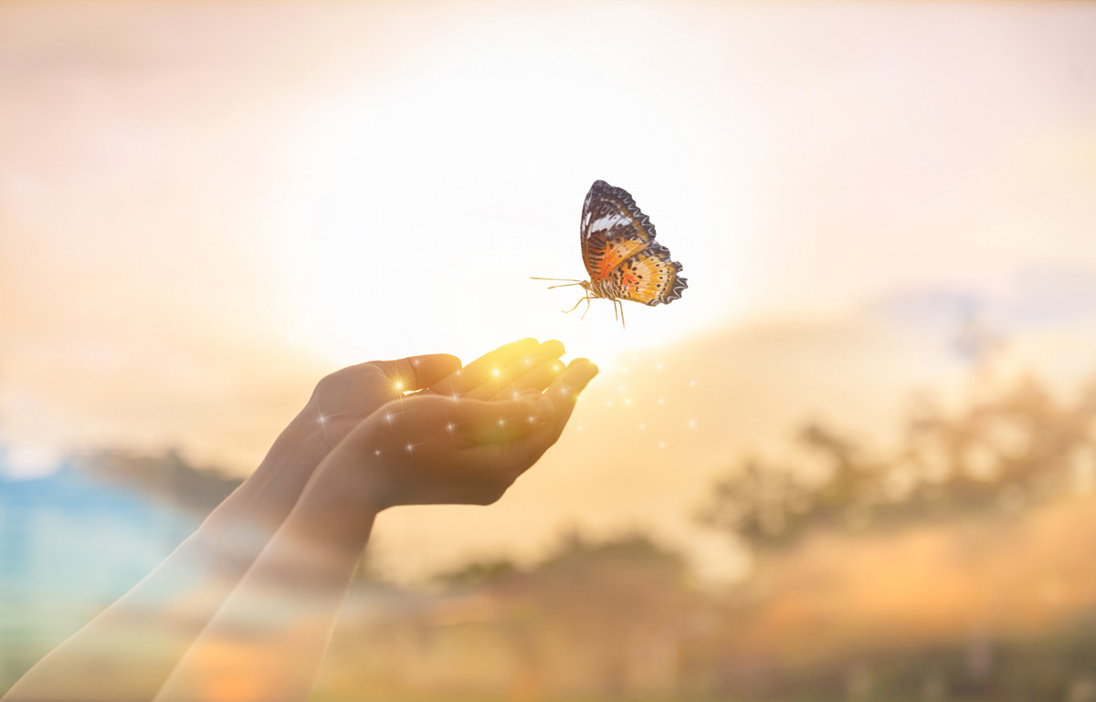 The Power to Transform Yourself: Tips to Start Today