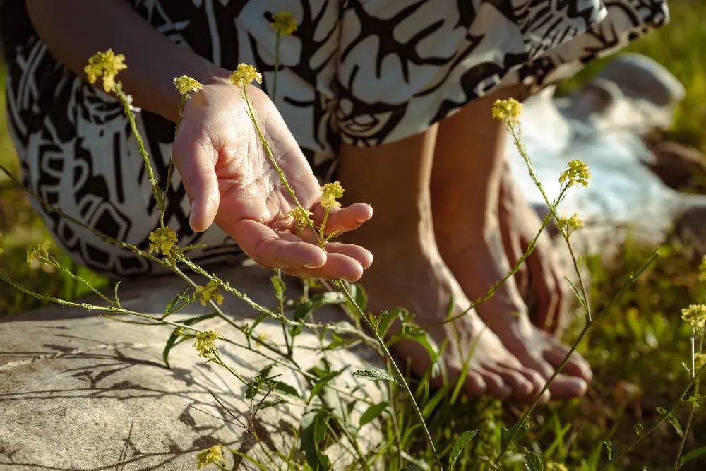 Close-up of a hand interacting with nature, illustrating the practical grounding tools and sensory awareness practiced in therapy sessions.