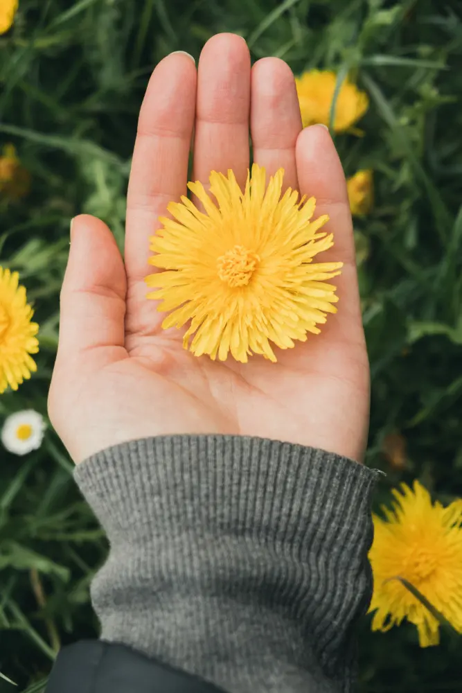 Mental Health Therapy in Casselberry, FL