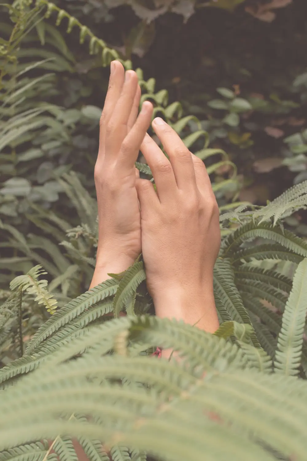 Hands in prayer position in a tranquil outdoor environment, symbolizing the integration of spiritual wellness and professional mental health counseling.
